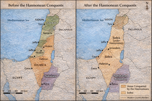 ChatGPT Image Feb 17, 2026, 07 56 15 PM.png