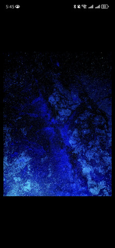 Screenshot 20260216 174556 com.xingin.xhs.jpg