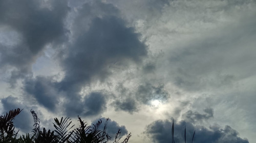 a829a56e3264.jpg