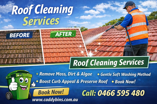 Roof cleaning Services in Hampton.png