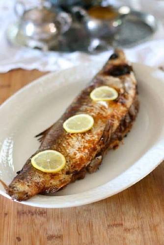 VBA8G 6r2FkT7elxtLzoFZETv9hlZy9 VD6O1rtpt96yrSH4PJErLx HE5 qHpBnsGfMH Uvn2cCSWNbvyv ctQfaIT c8Vxnqhl.jpg