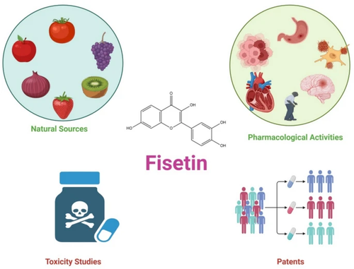 G DwVcZWYAEjw4D?format=png.png