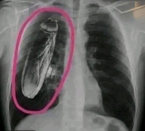 HBWSYggaYAAuHJ9.jpg