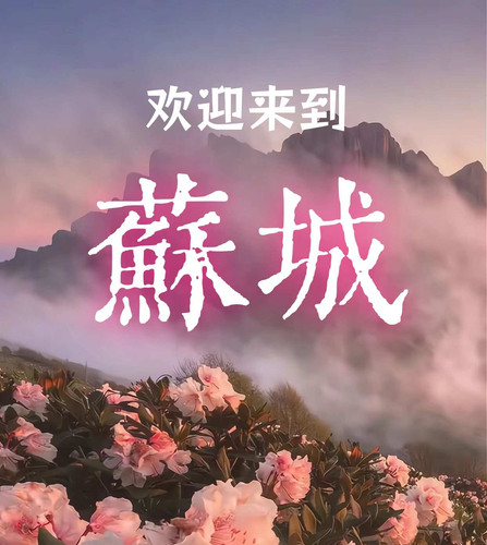 欢迎来到su.jpg