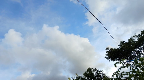 25663fb1dc68.jpg