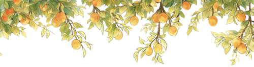 IMG 20260217 075120.png