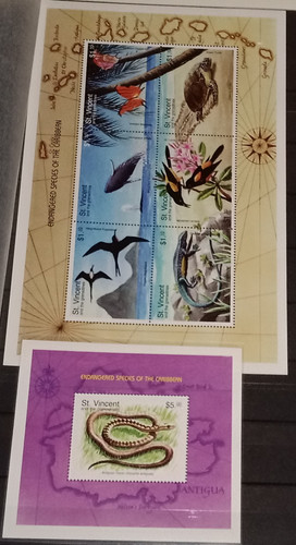 IMG 20220914 165540 4.jpg