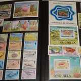 IMG 20220914 164519 7