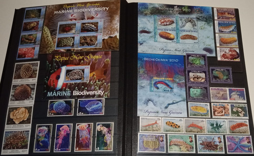 IMG 20220914 164507 7.jpg