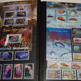 IMG 20220914 164507 7