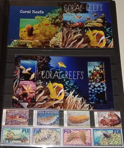 IMG 20220914 164357 7.jpg