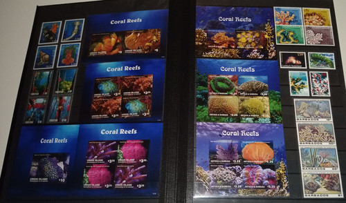 IMG 20220914 164408 9.jpg