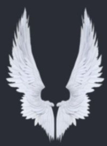 1000014967.jpg
