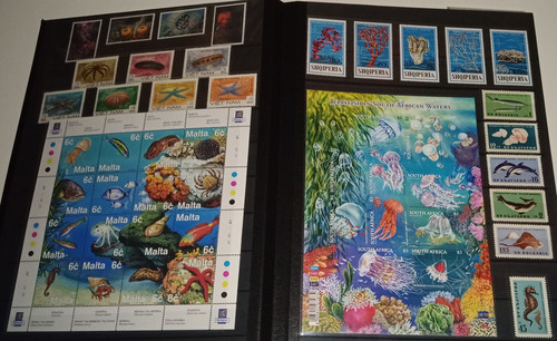 IMG 20220914 164425 6.jpg