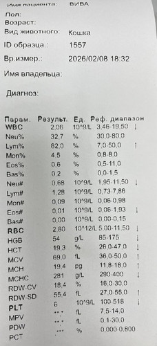 HAyc 4SXUAAPGns?format=jpg.jpg