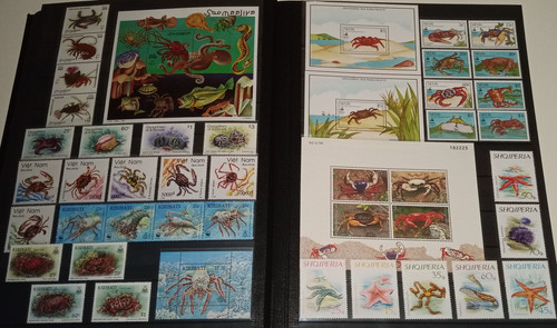 IMG 20220914 164600 7.jpg