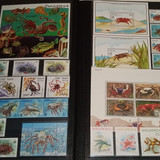 IMG 20220914 164600 7