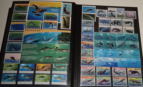 IMG 20220914 164858 9.jpg