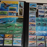 IMG 20220914 164858 9