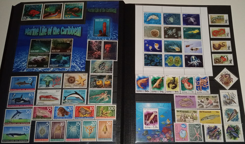 IMG 20220914 164627 0.jpg