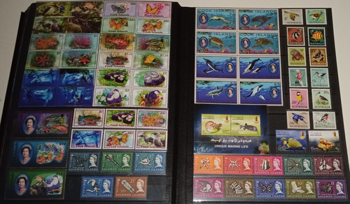 IMG 20220914 164753 6.jpg