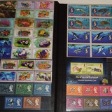 IMG 20220914 164753 6