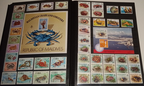 IMG 20220914 164551 2.jpg