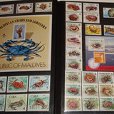 IMG 20220914 164551 2