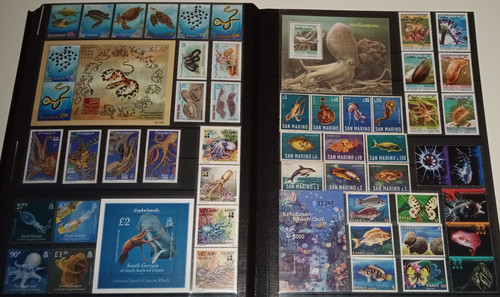 IMG 20220914 164644 0.jpg