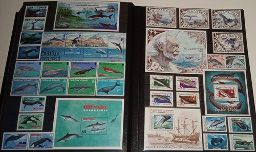 IMG 20220914 164841 0.jpg