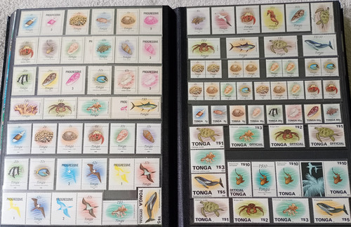 IMG 20220914 164703 6.jpg