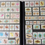 IMG 20220914 164703 6