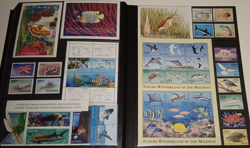 IMG 20220914 164803 8.jpg