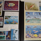 IMG 20220914 164803 8