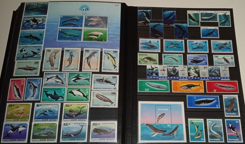 IMG 20220914 164812 4.jpg