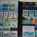 IMG 20220914 164812 4