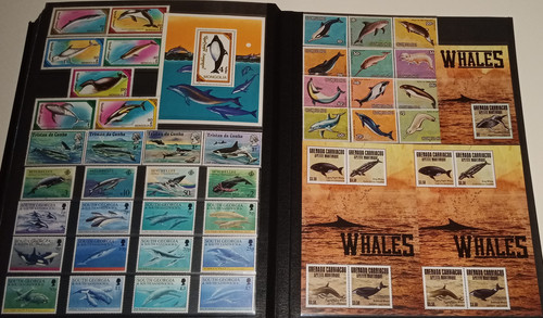 IMG 20220914 164821 4.jpg