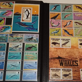 IMG 20220914 164821 4