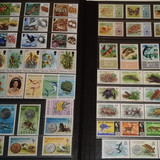 IMG 20220914 164745 2