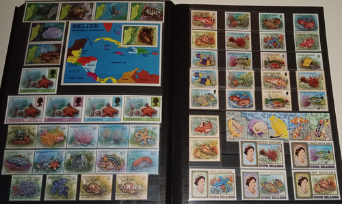 IMG 20220914 164635 5.jpg