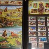 1v