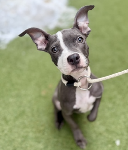 HBUDm1hbcAU 9gs?format=png.png