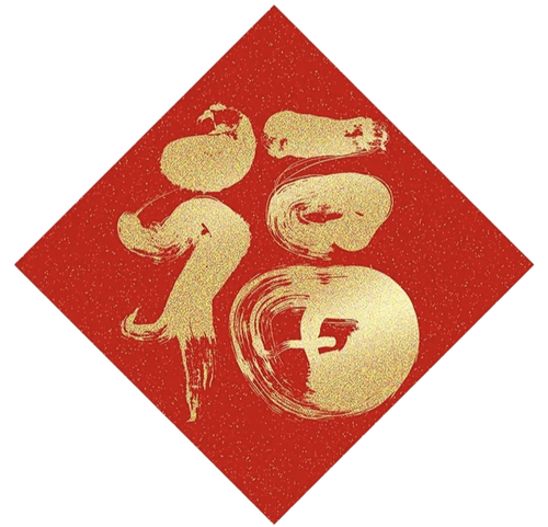 IMG 20260217 081254.png