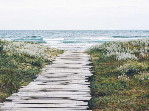 5252a2e7140e.jpg