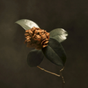 c95997e33bc7.png