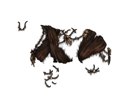 IMG 4047.png