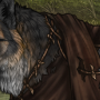 IMG 4046.png