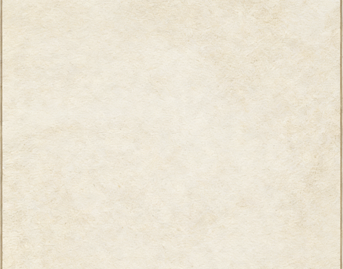 IMG 20260217 085212.png