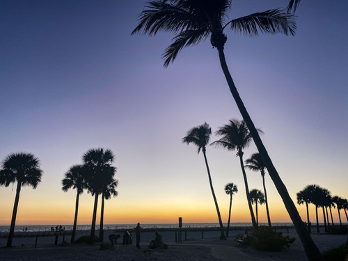 21C008C6 2FD3 42AE 8413 B9C87D69C643.jpg