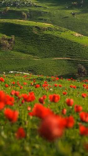 2Q yUX71oVa6UlOR.jpg